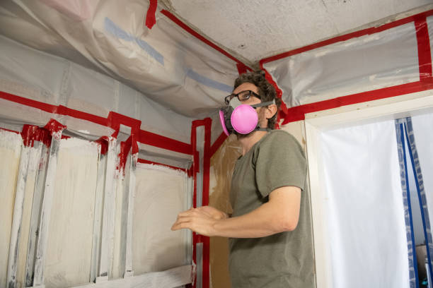 Mold Remediation for Rental Properties in Homewood, AL