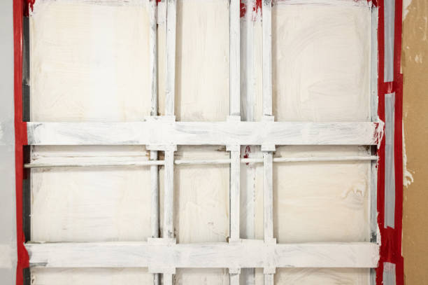 Best Forensic Mold Investigation  in Homewood, AL
