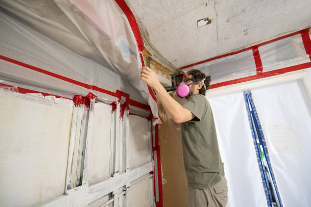 Best Mold Documentation for Insurance Claims  in Homewood, AL